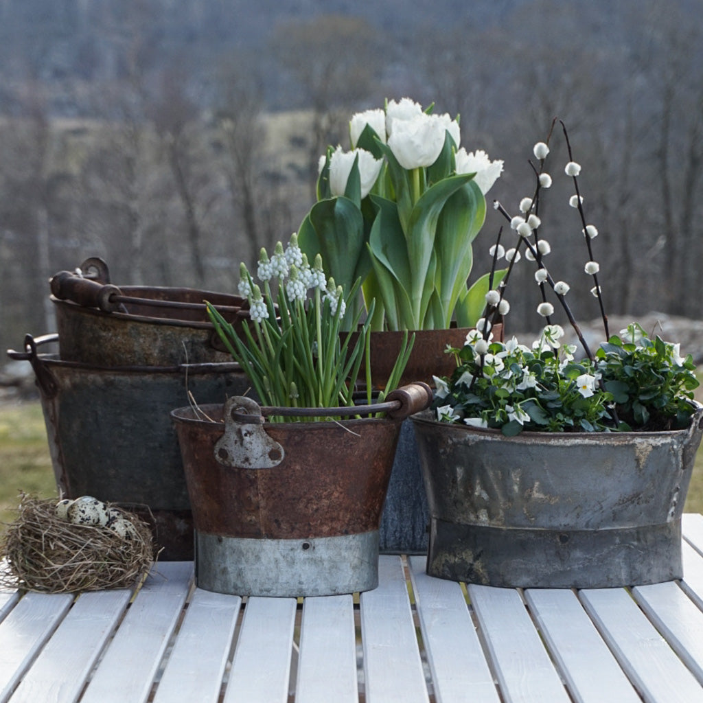 Treasure spann med hank