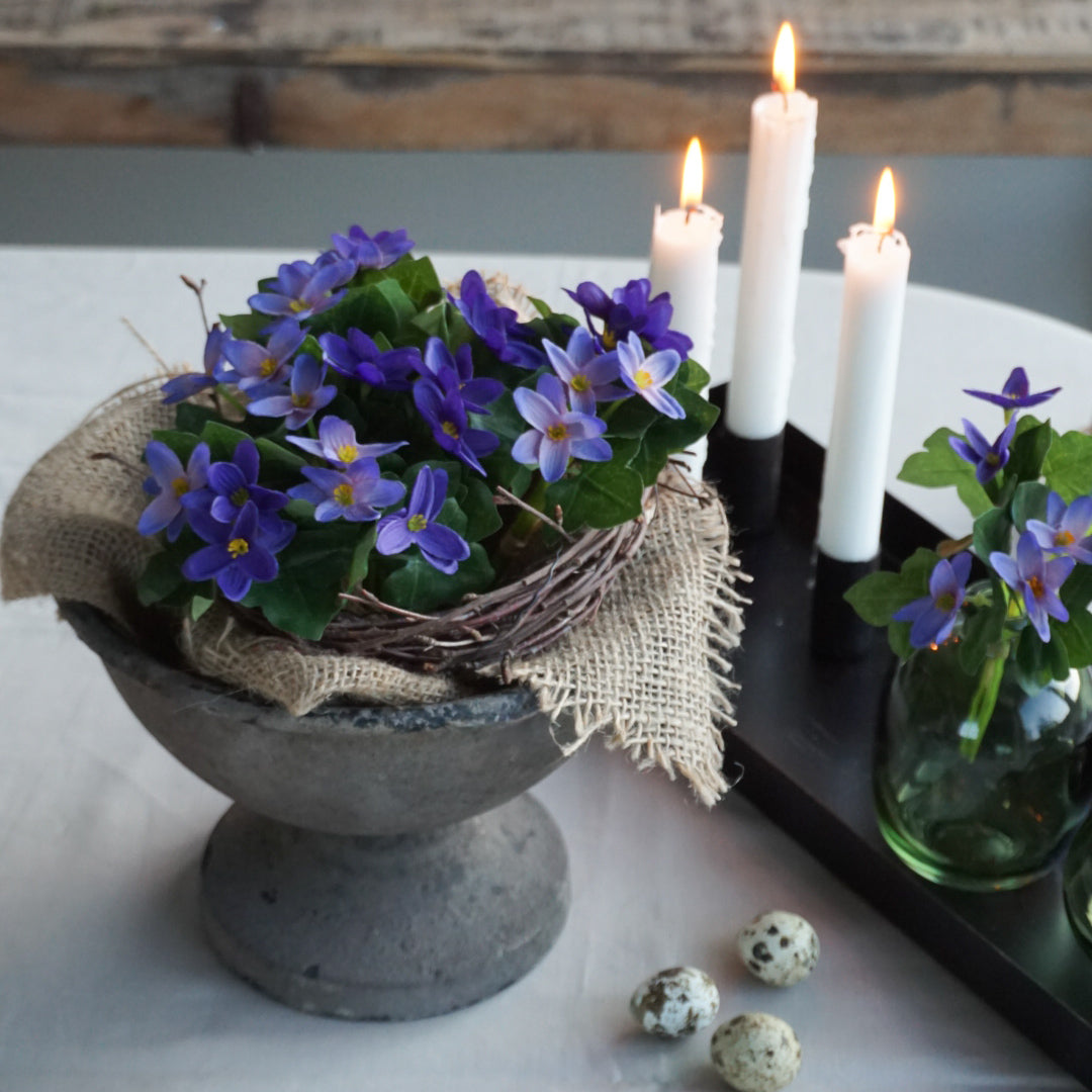 Blåveis bukett - Mr Plant