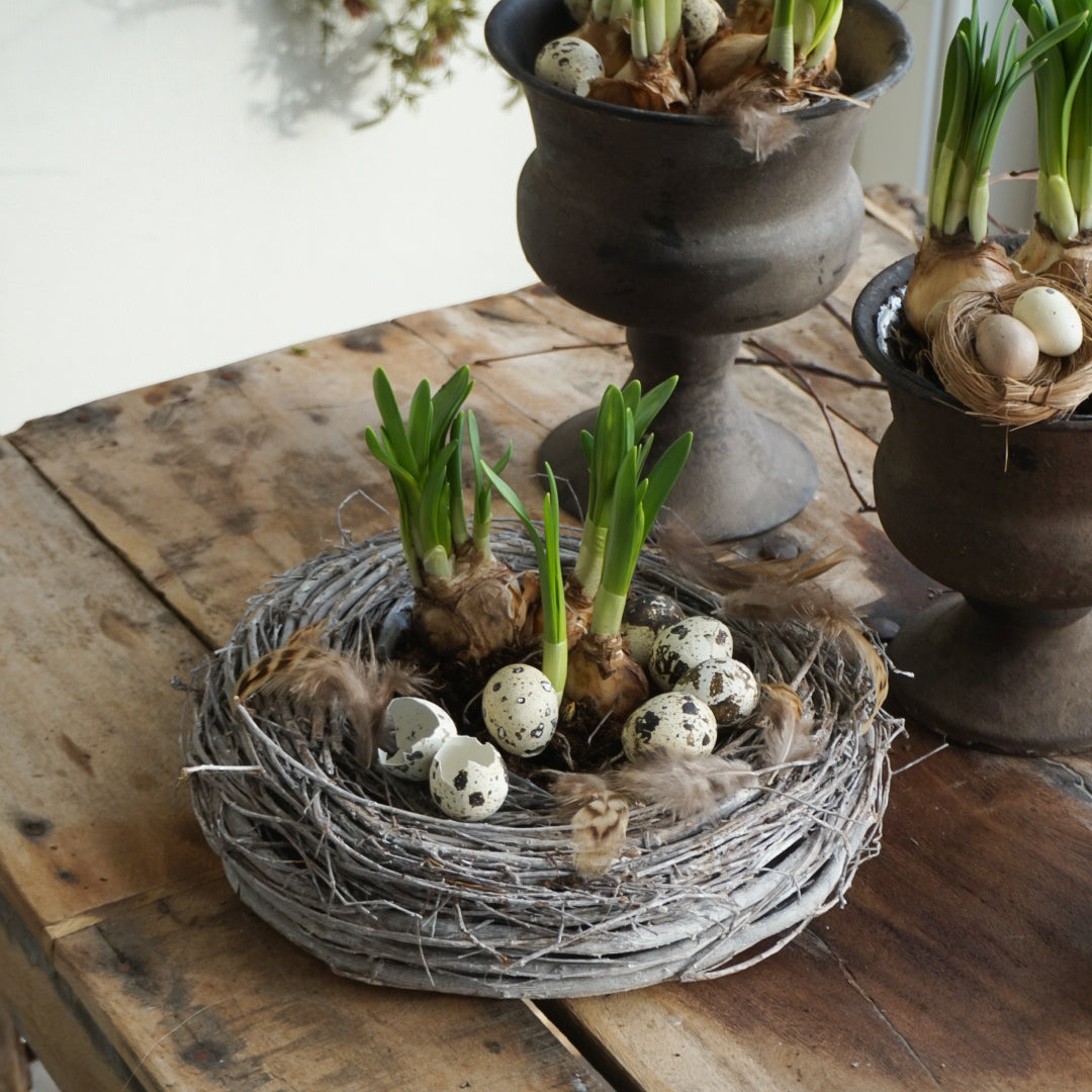 Runa plantering - liten