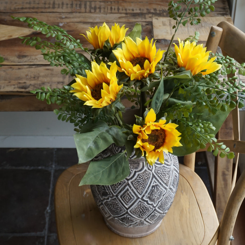 Bregne stilk - Mr Plant