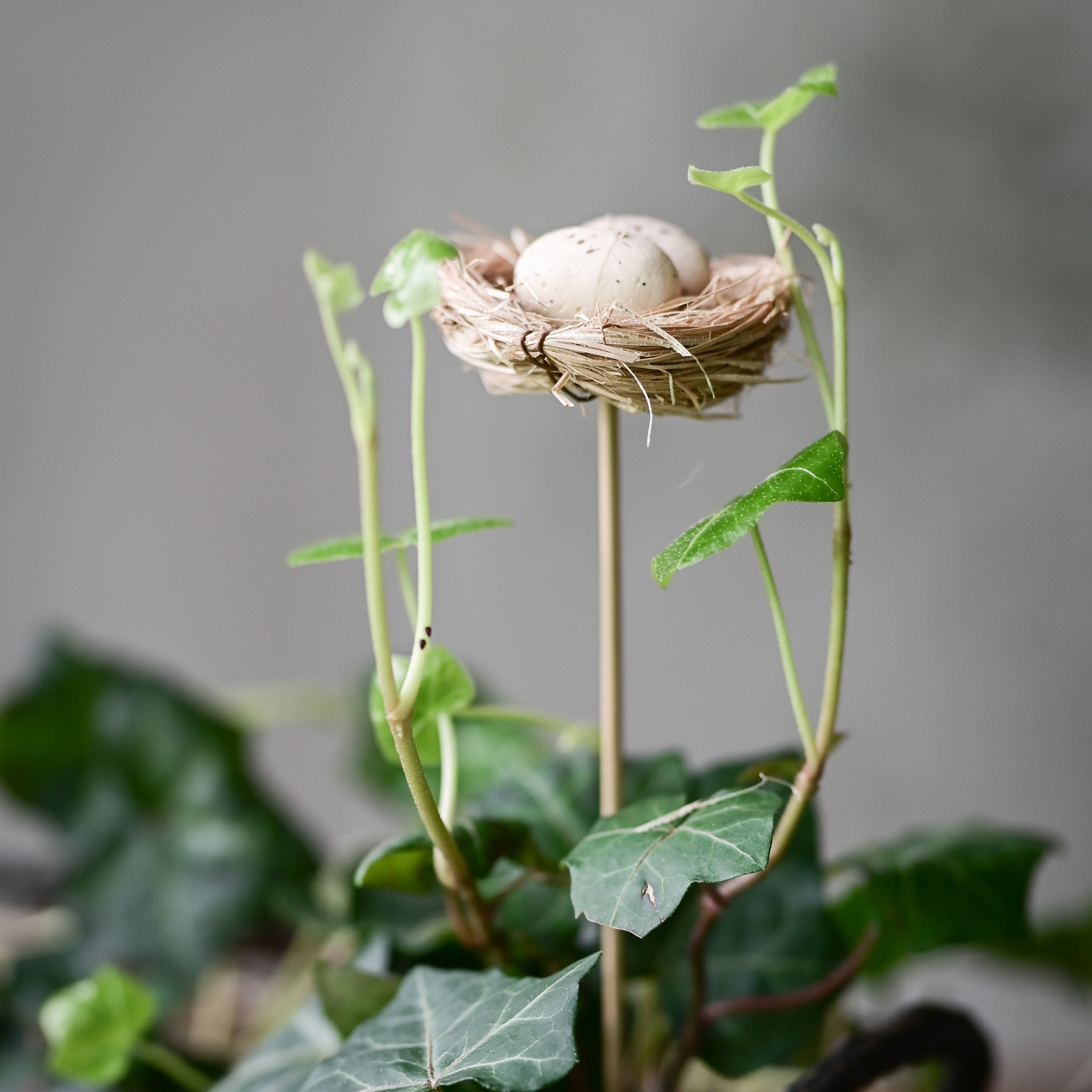 Dekor - fuglerede på pinne