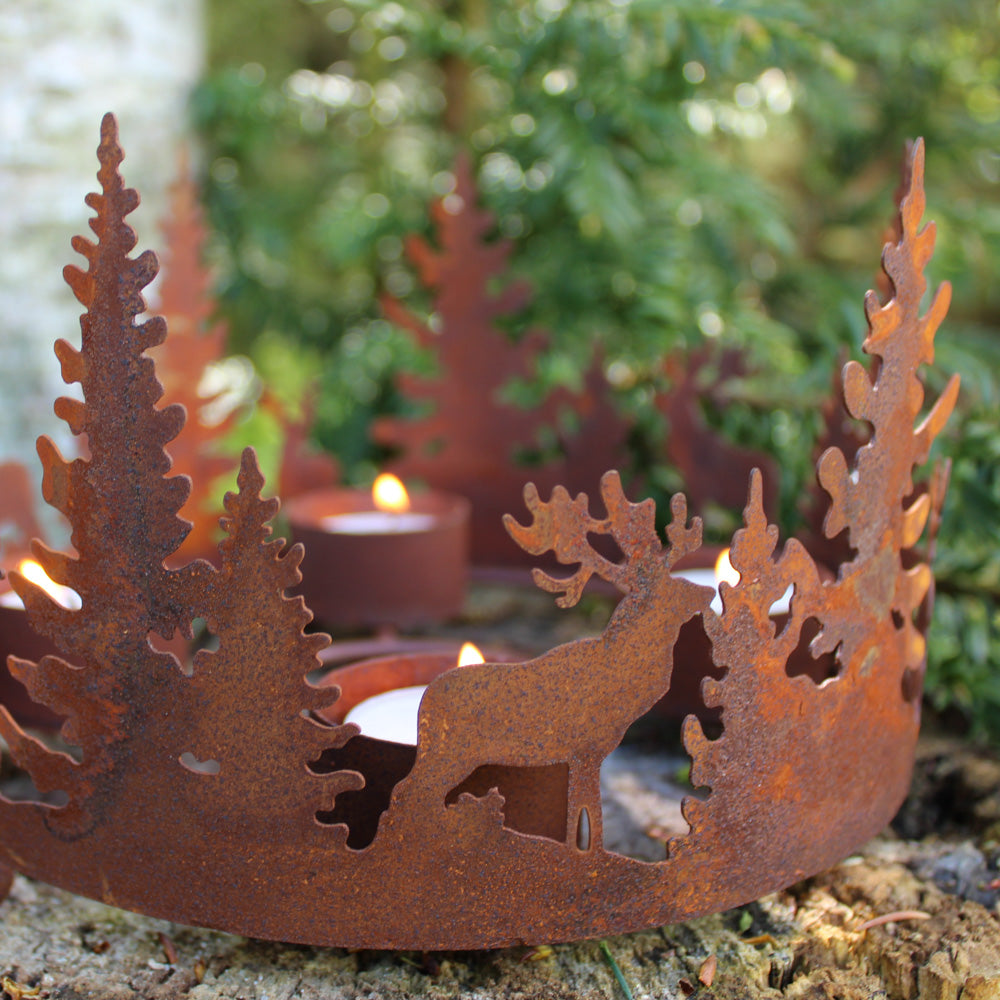 Lysholder skog - rust