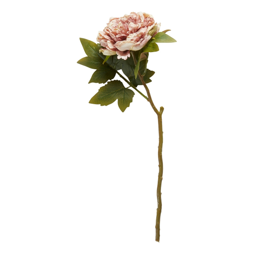 Peon rosa - 46 cm