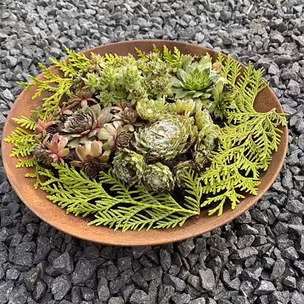 Skål/vannbad - 28 cm