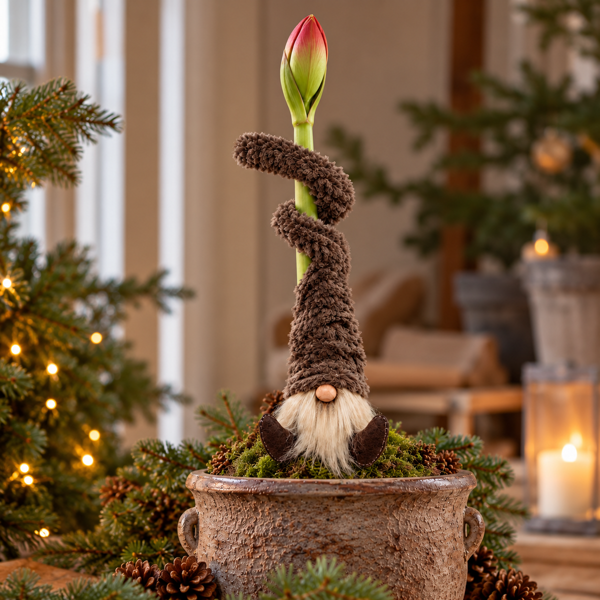 Ted Tomte Amaryllisstick - brun