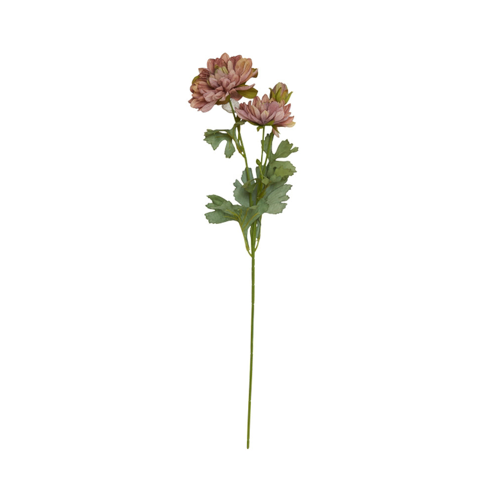 Georgine rosa - 53 cm