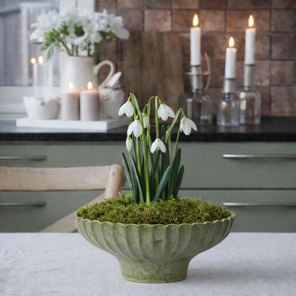 Yodit planteskål - grønn