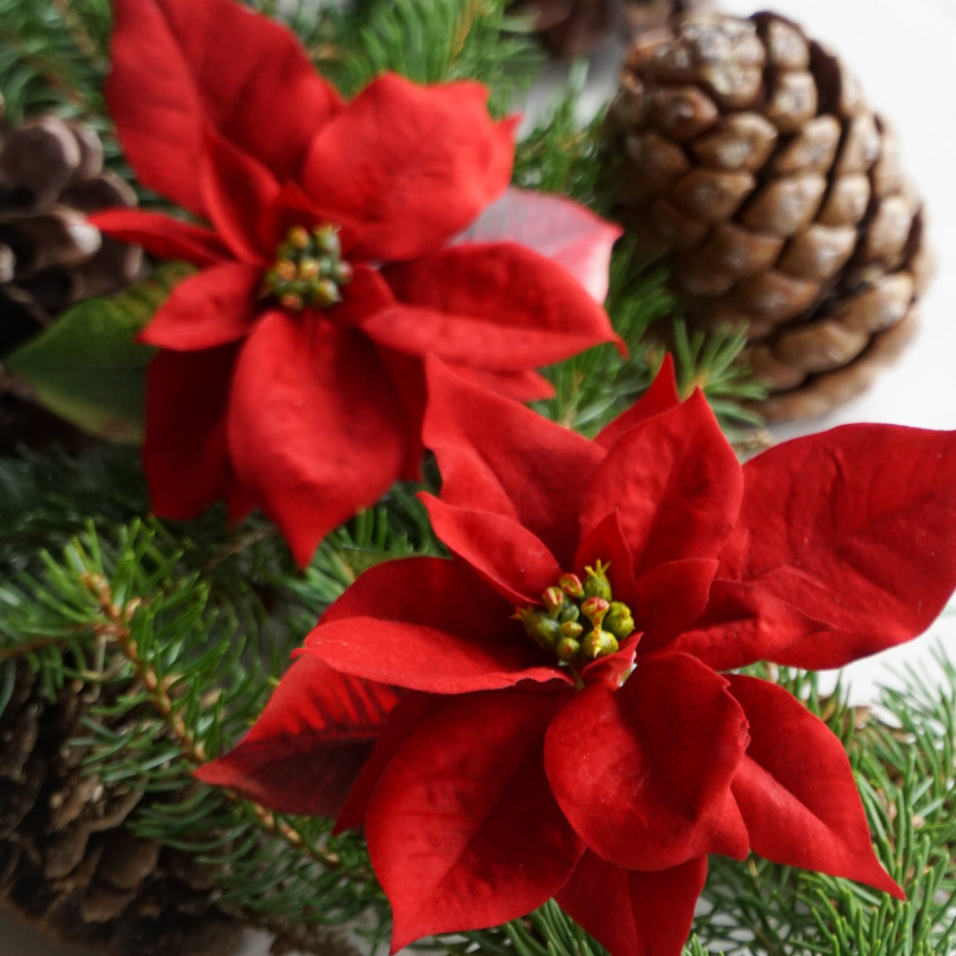 Julestjerne med klips - rød