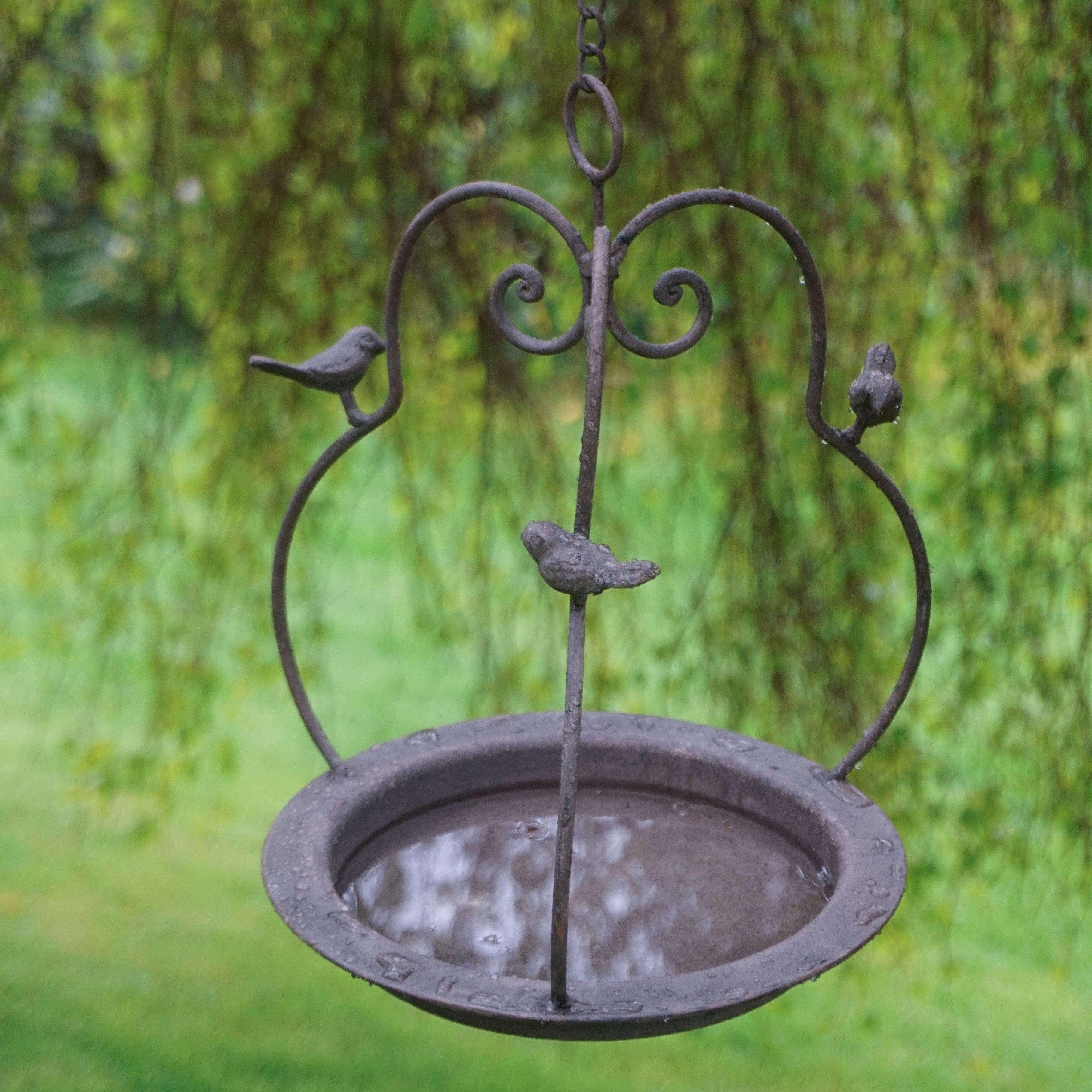 Fuglebad Birdie