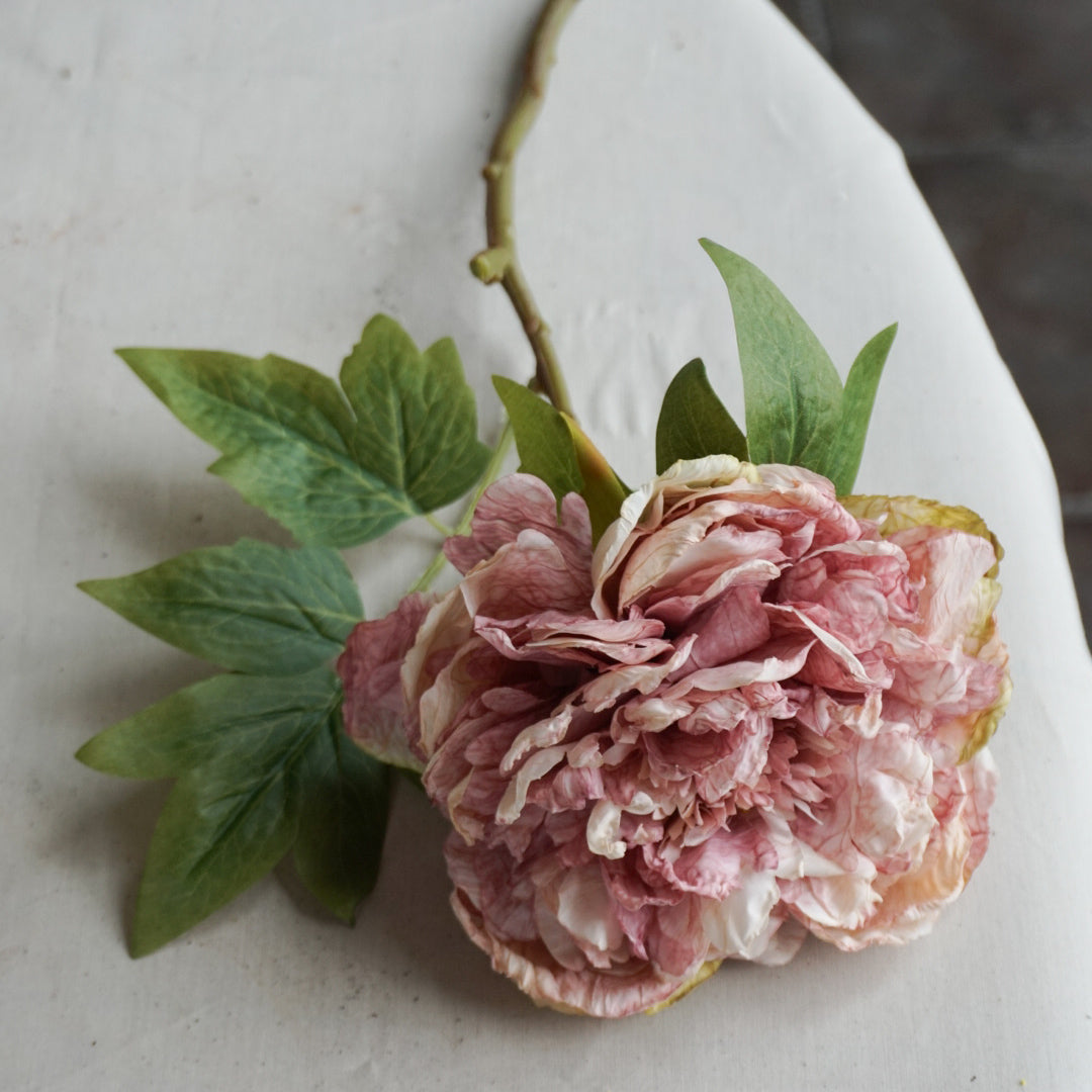 Peon rosa - 46 cm