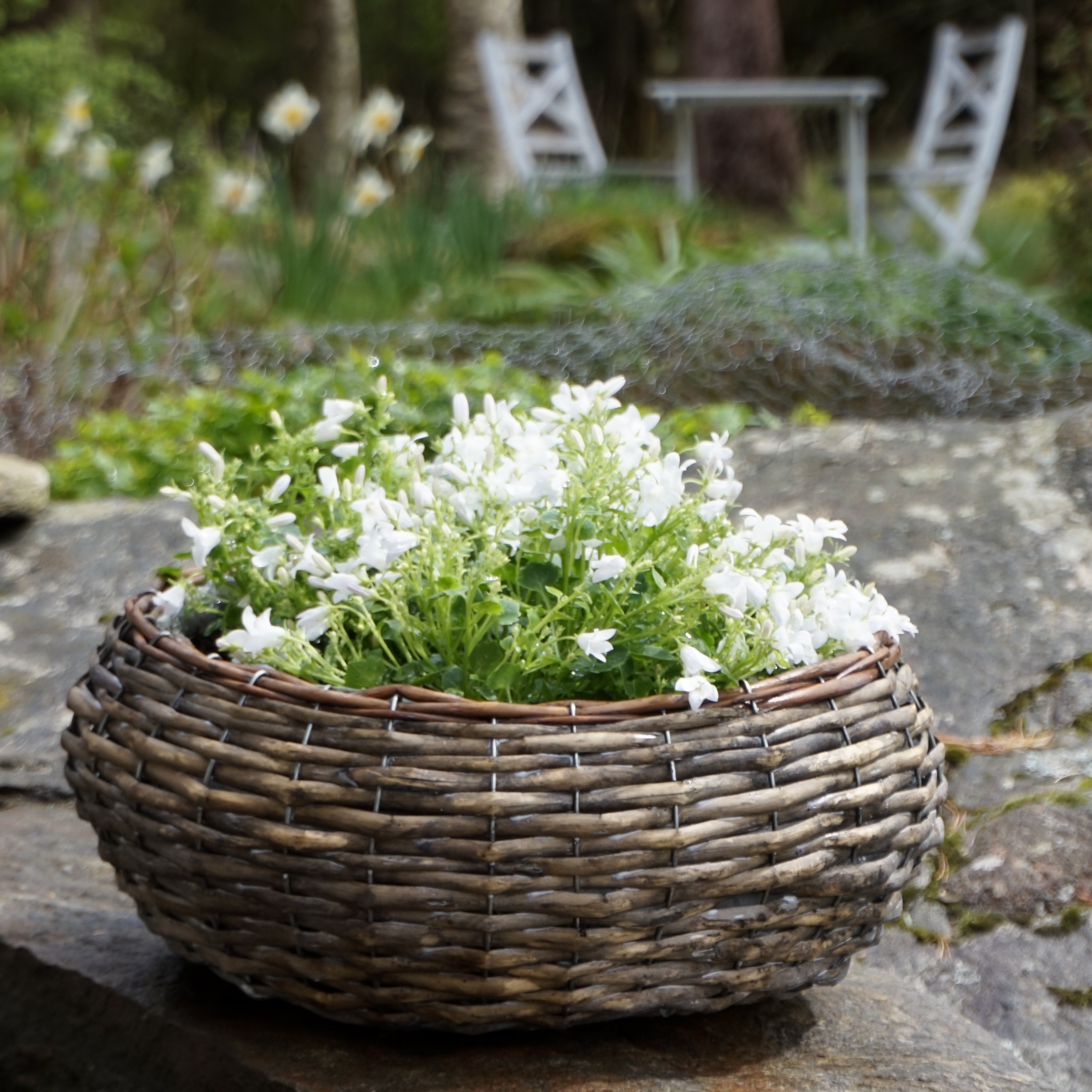 MINNA Plantering - stor