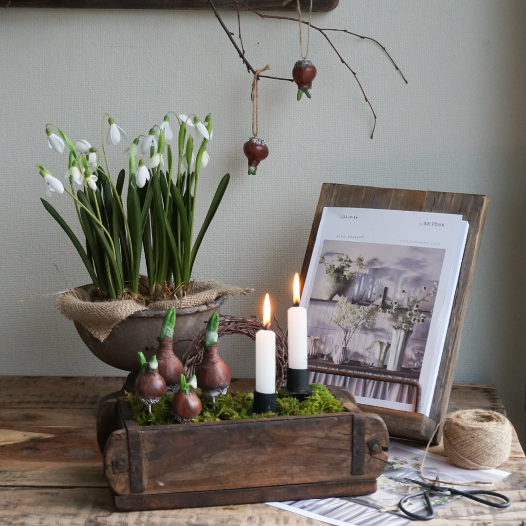 Utstillingstavle i tre