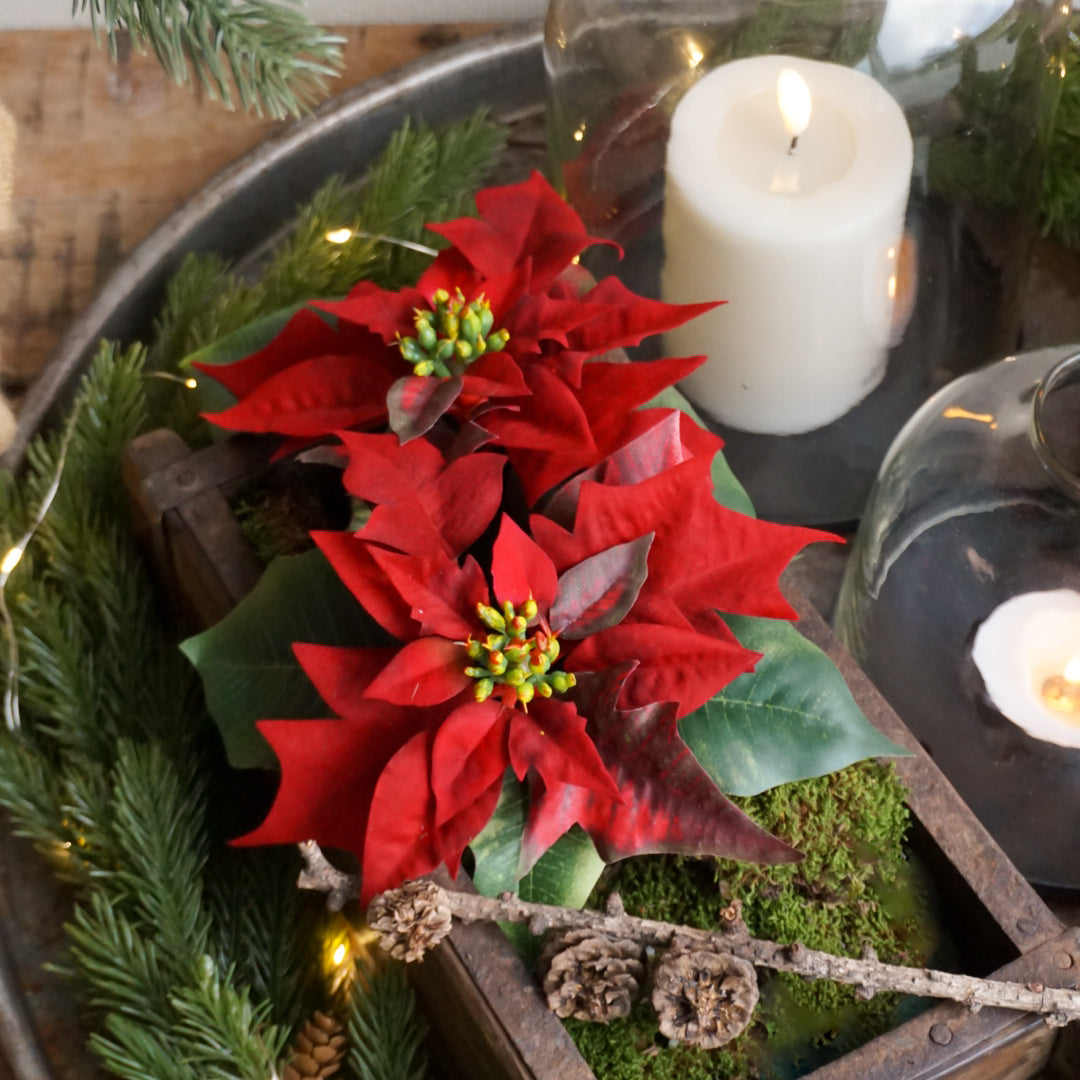 Julestjerne i krukke - rød