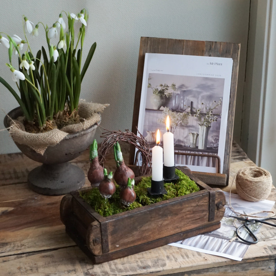 Utstillingstavle i tre