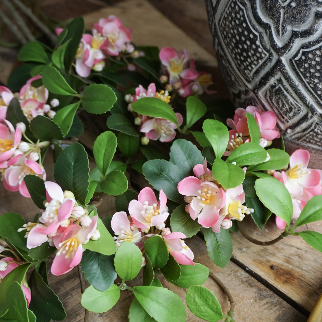Epleblomst kvist - rosa