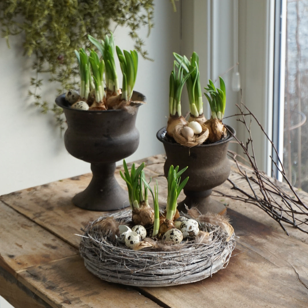 Runa plantering - liten