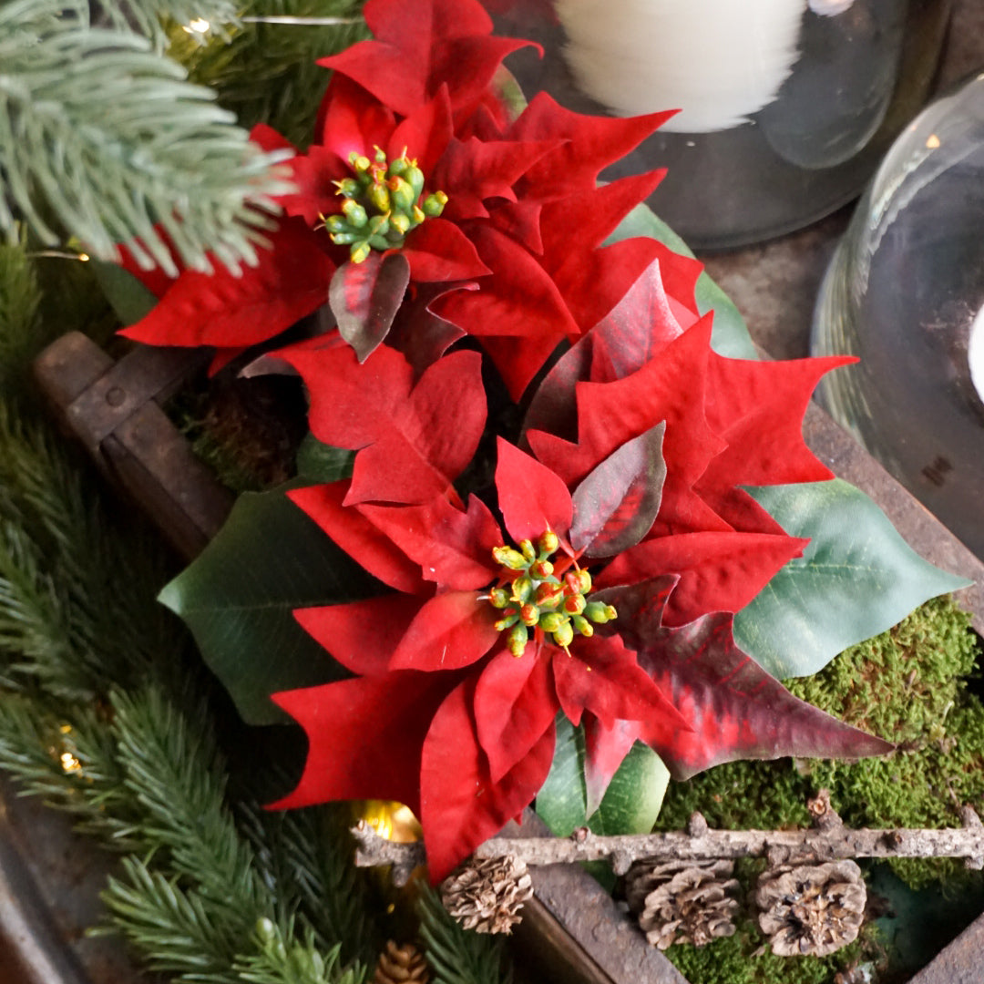 Julestjerne i krukke - rød