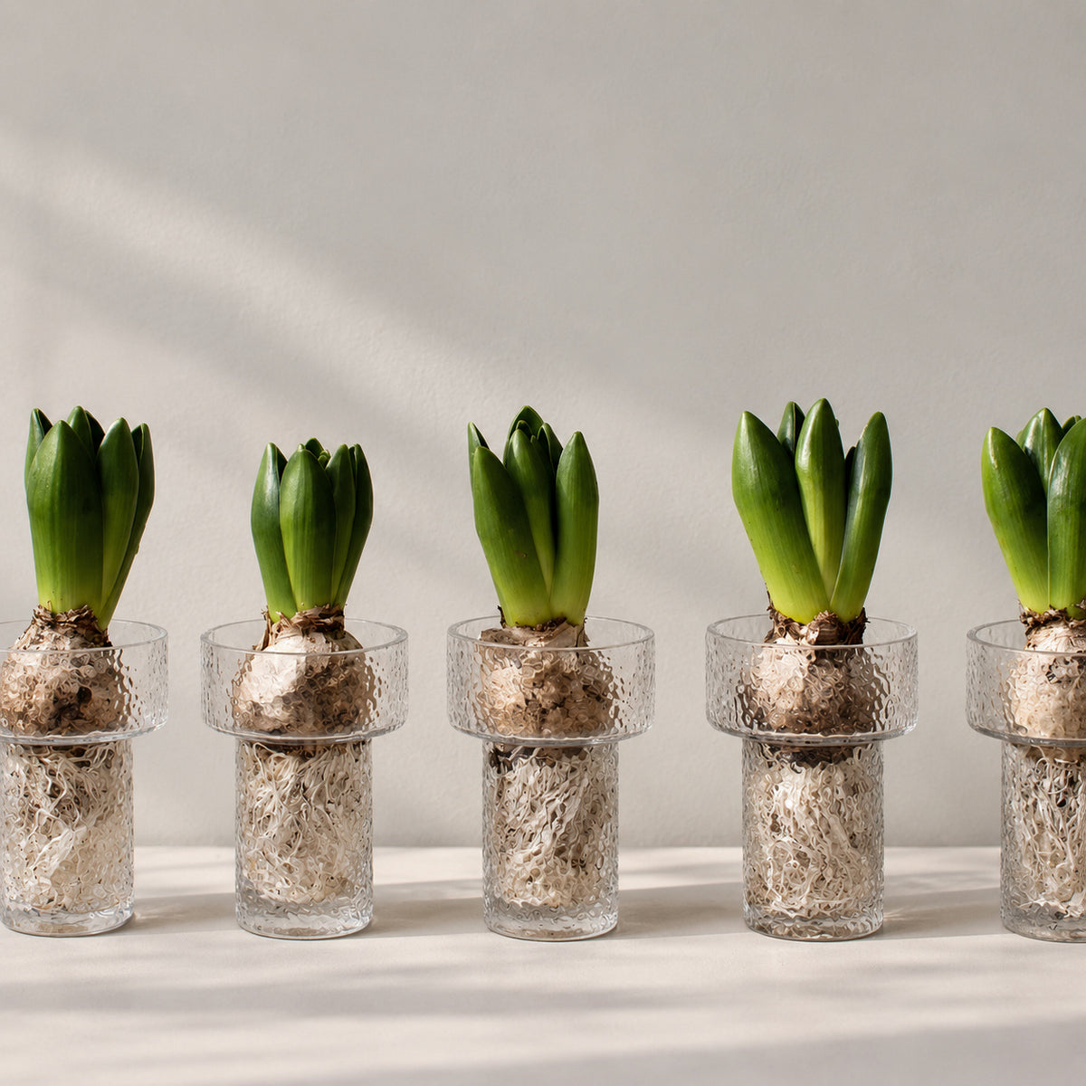 Svibel vase - keeper liten