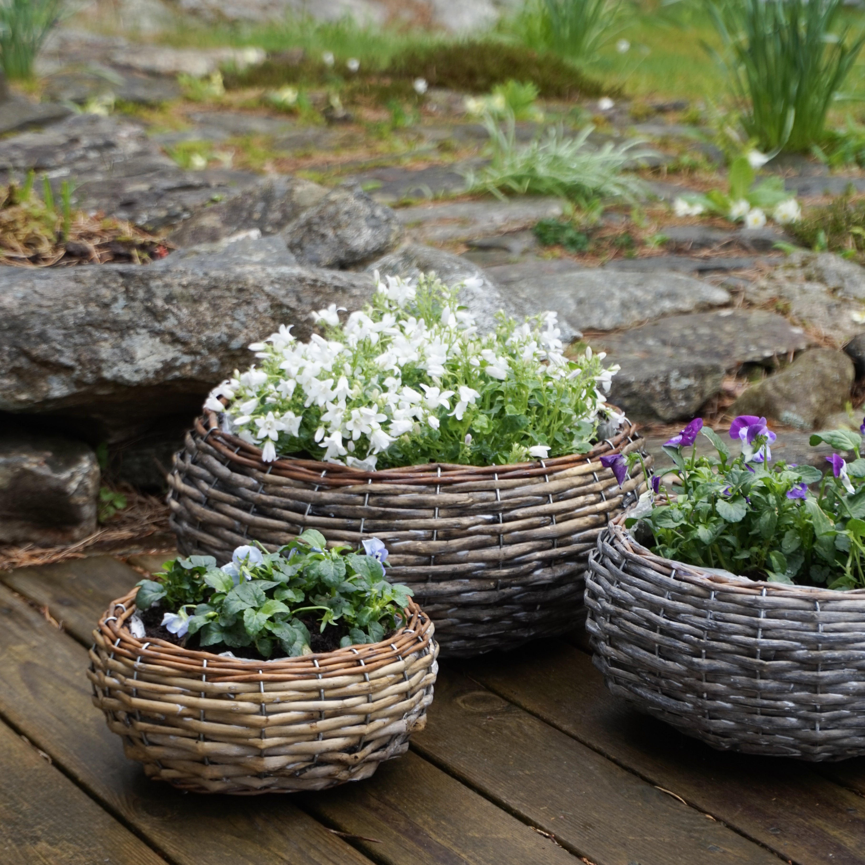 MINNA Plantering - liten