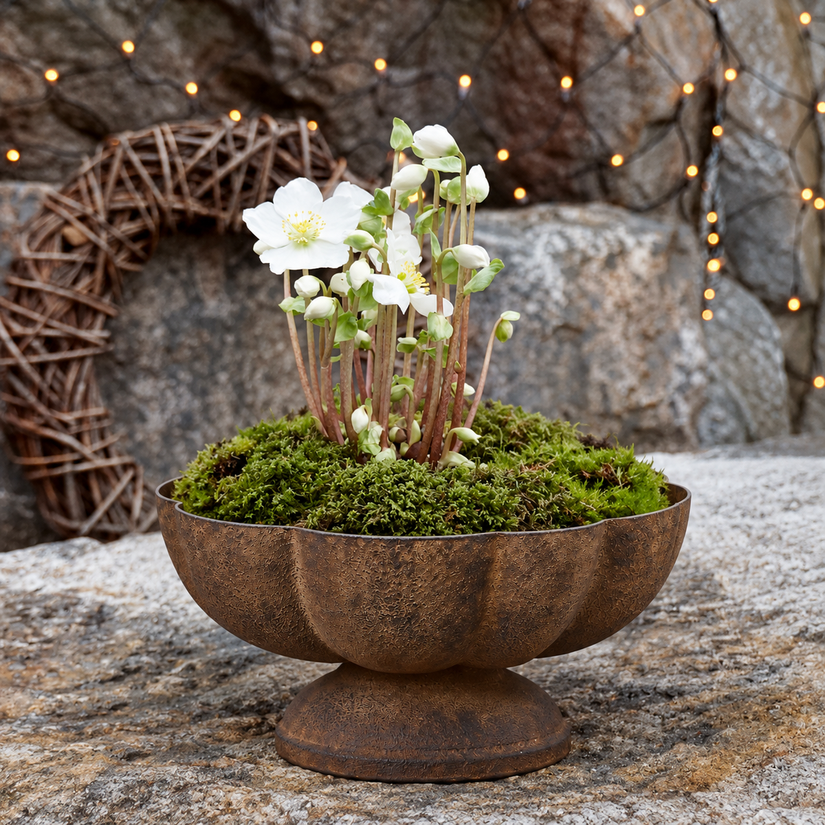 Bloom Pokal - liten