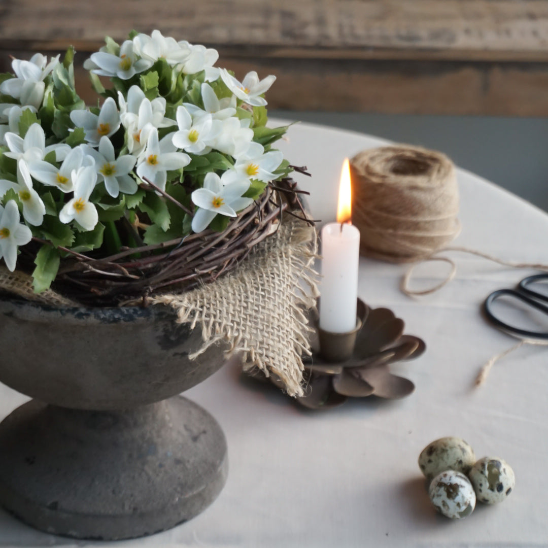 Hvitveis bukett - Mr Plant