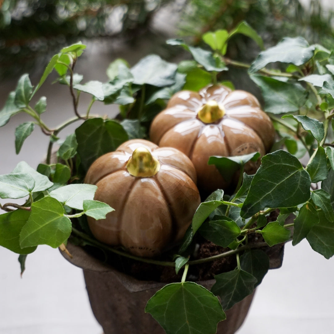 Gresskar nougat- mini 2 stk