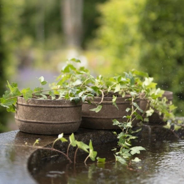 LUNA plantering - medium