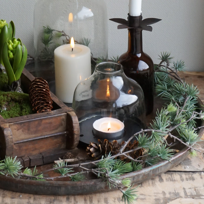 Girlander lerk - Mr Plant