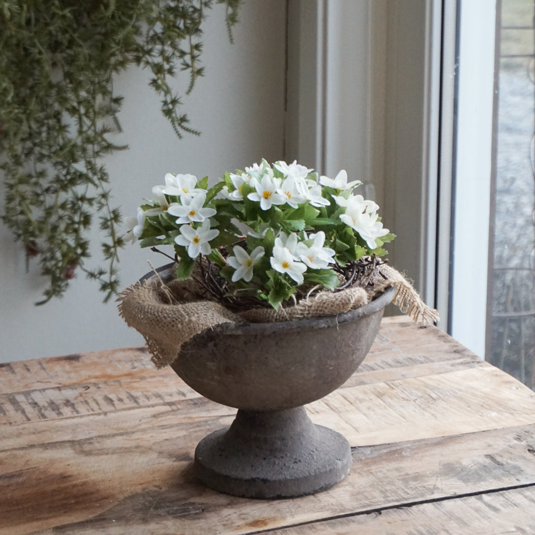 Ragna Skål Rust - liten