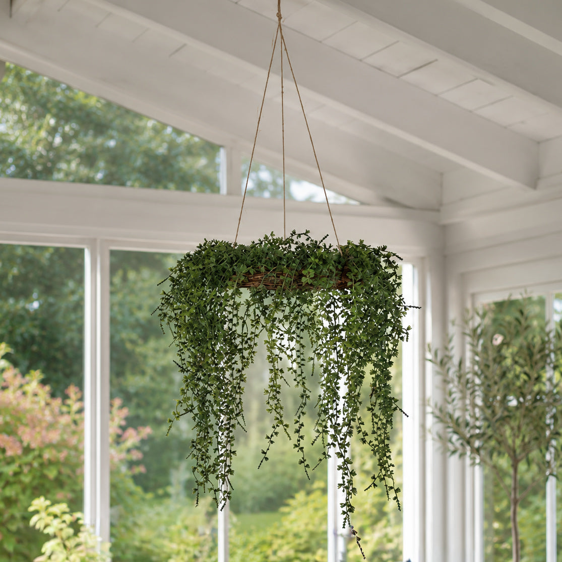 Lerkekrans hengende - Mr Plant