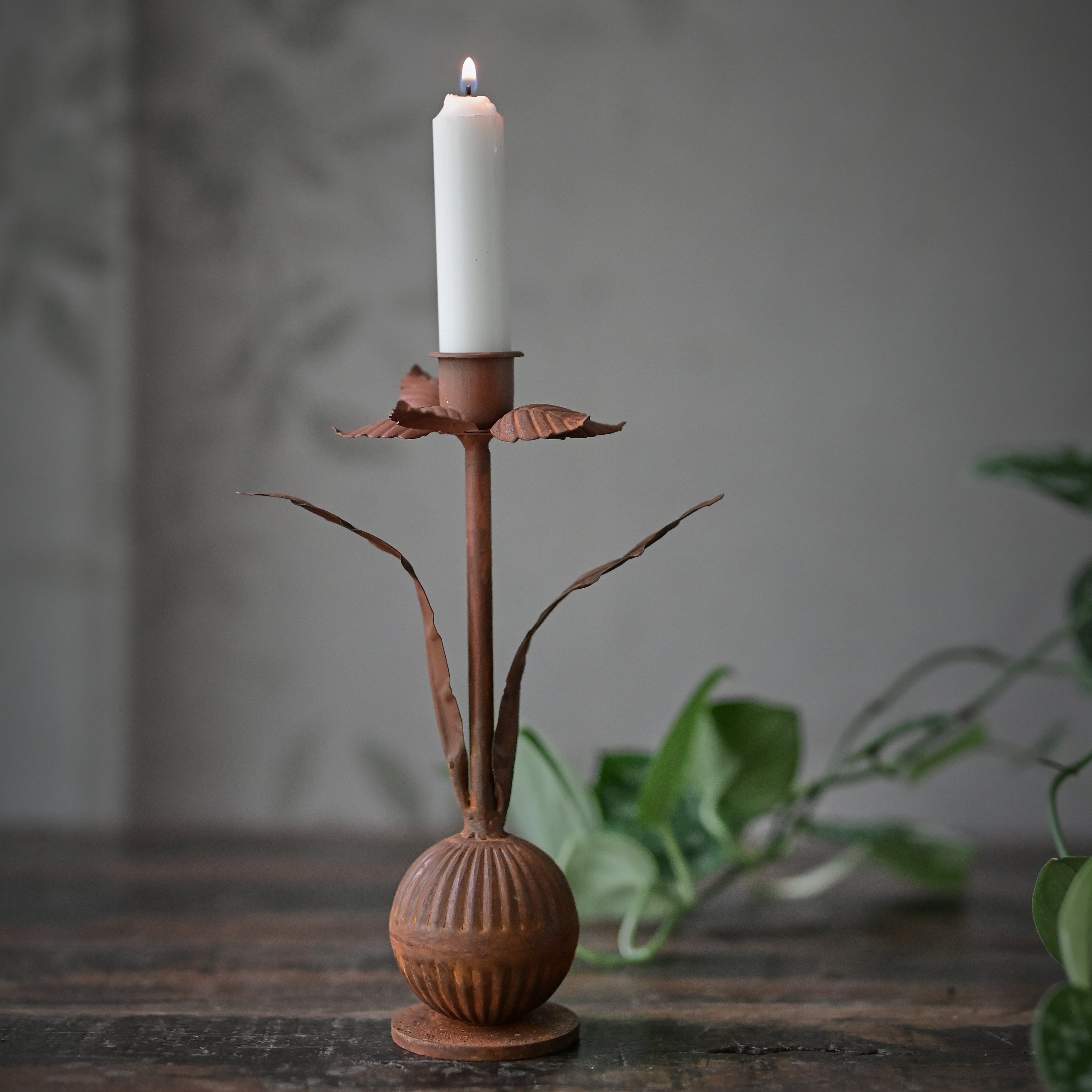 Lysestake - Påskelilje