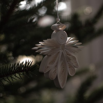 Papir Engel - DBKD