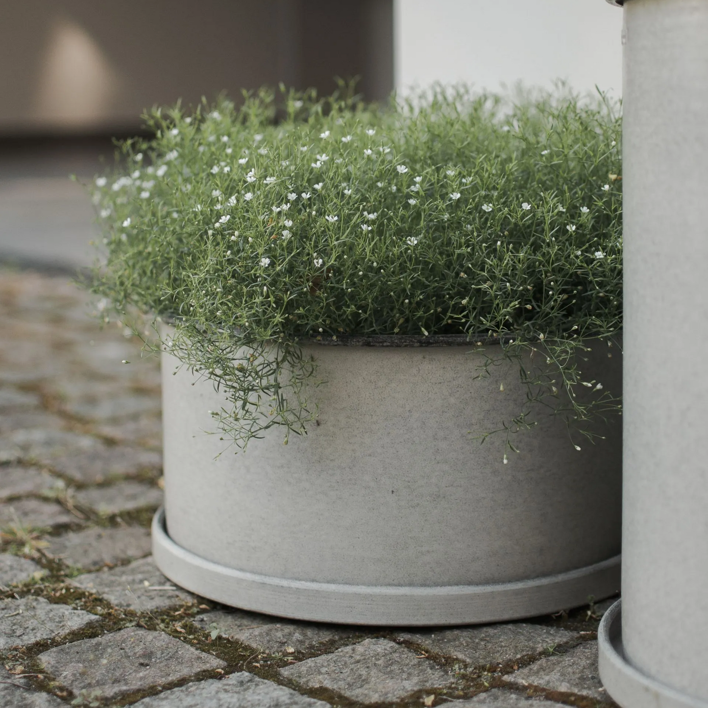 Plant krukke stor - lysegrå